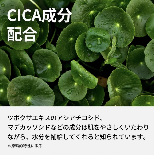 ツボクサエキス ツボクサ化粧水 300ml